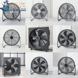 fans